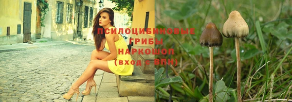 мяу мяу мука Алексеевка