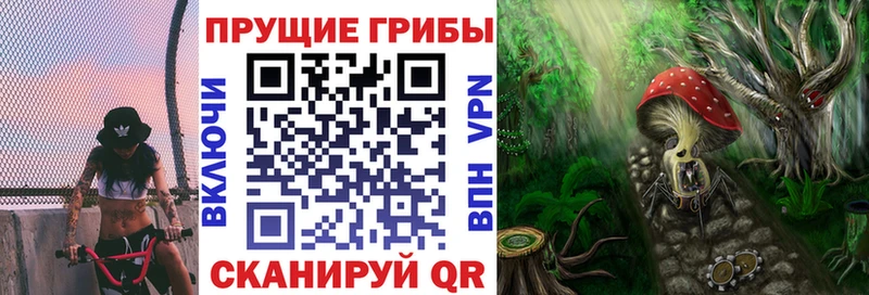 Галлюциногенные грибы прущие грибы  Бахчисарай 